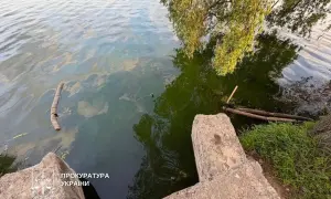 На Березняки вернули скульптуру матери, демонтированную в 1980 году