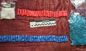 Операция «Зеленый щит»: ГБР сообщило о предъявлении подозрения 23 фигурантам, есть задержанные