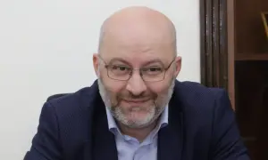 Коалы могут исчезнуть с лица Земли