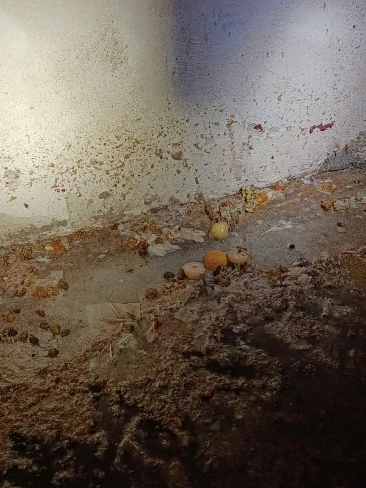 In Ternopil, residents clogged the sewer system of a high-rise building twice with pickled apples