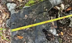 Volkswagen відновив виробництво на головному заводі 