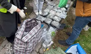 W Kijowie handlarze narkotyków podszywali konopie indyjskie i substancje psychotropowe pod karmę dla zwierząt