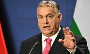 Інтенсивність військових дій на Донбасі знизилась - ООС