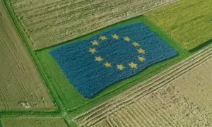 Украина обнародовала официальную позицию по Венесуэле