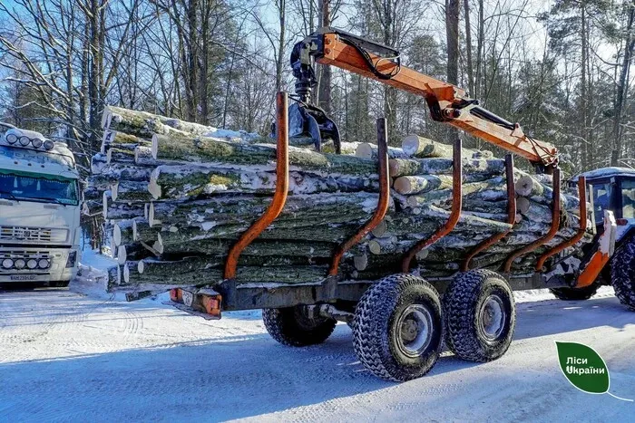 Попит на дрова злетів, за день продали 8 тисяч кубів