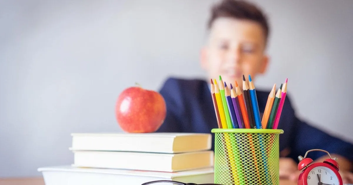 Залишилося декілька годин на подачу заявки на «Пакунок школяра»