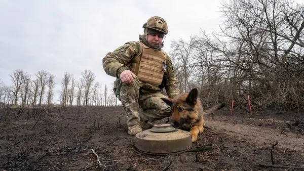 Центр гуманітарного розмінування провів торги на очищення трьох обʼєктів