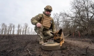 У Дніпрі агенти рф підпалювали автомобілі ЗСУ та релейні шафи «Укрзалізниці»