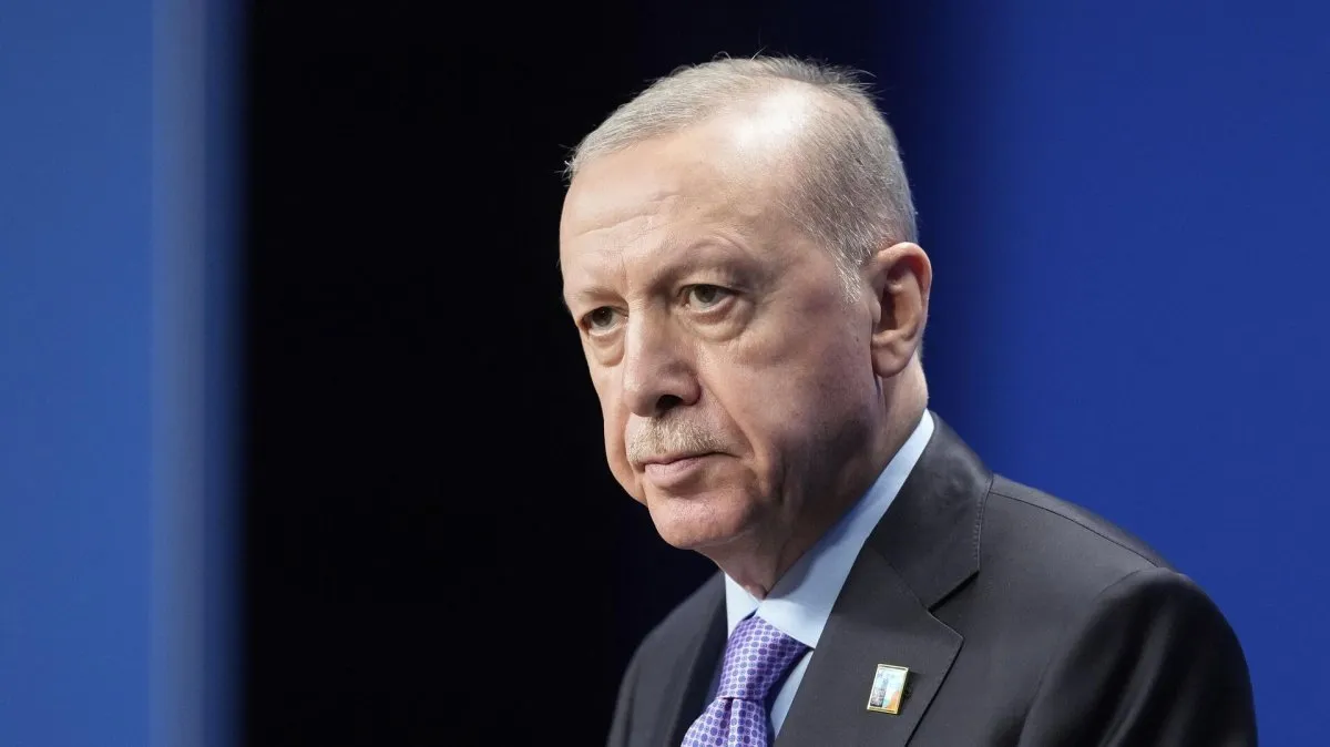 Туреччина запропонувала «енергетичне перемир’я» для рф та України