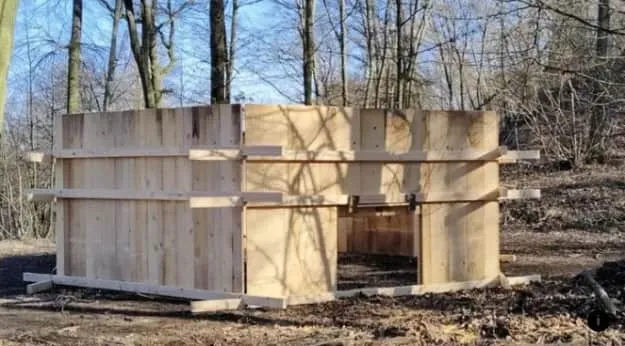 Humane traps are being tested in the Czech Republic to curb the wild boar population