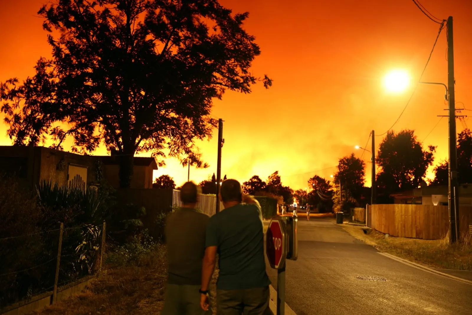 Damages from forest fires in Europe have exceeded €3 billion – Financial Times
