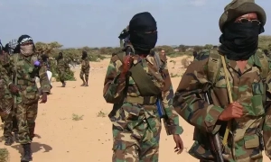 Вулкан на Канарах: 33 тисячі людей просять не виходити з дому через токсичні гази