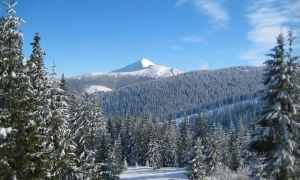 Китай перезапускає J-15 і робить ставку на авіаносну війну