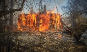 Новим радником Трампа з нацбезпеки може стати проросійський Віткофф, та є нюанс - Axios