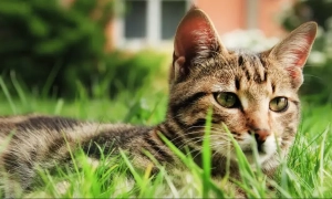 В Украине сократилось производство пива