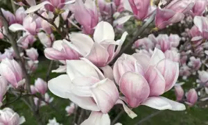 Буквально Мінські домовленості виконати неможливо - Клімкін