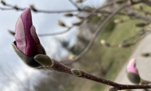 Путін для Ірану слабкий союзник, — Зеленський
