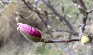 Обстріли рашистів убили і поранили працівників компанії ДТЕК