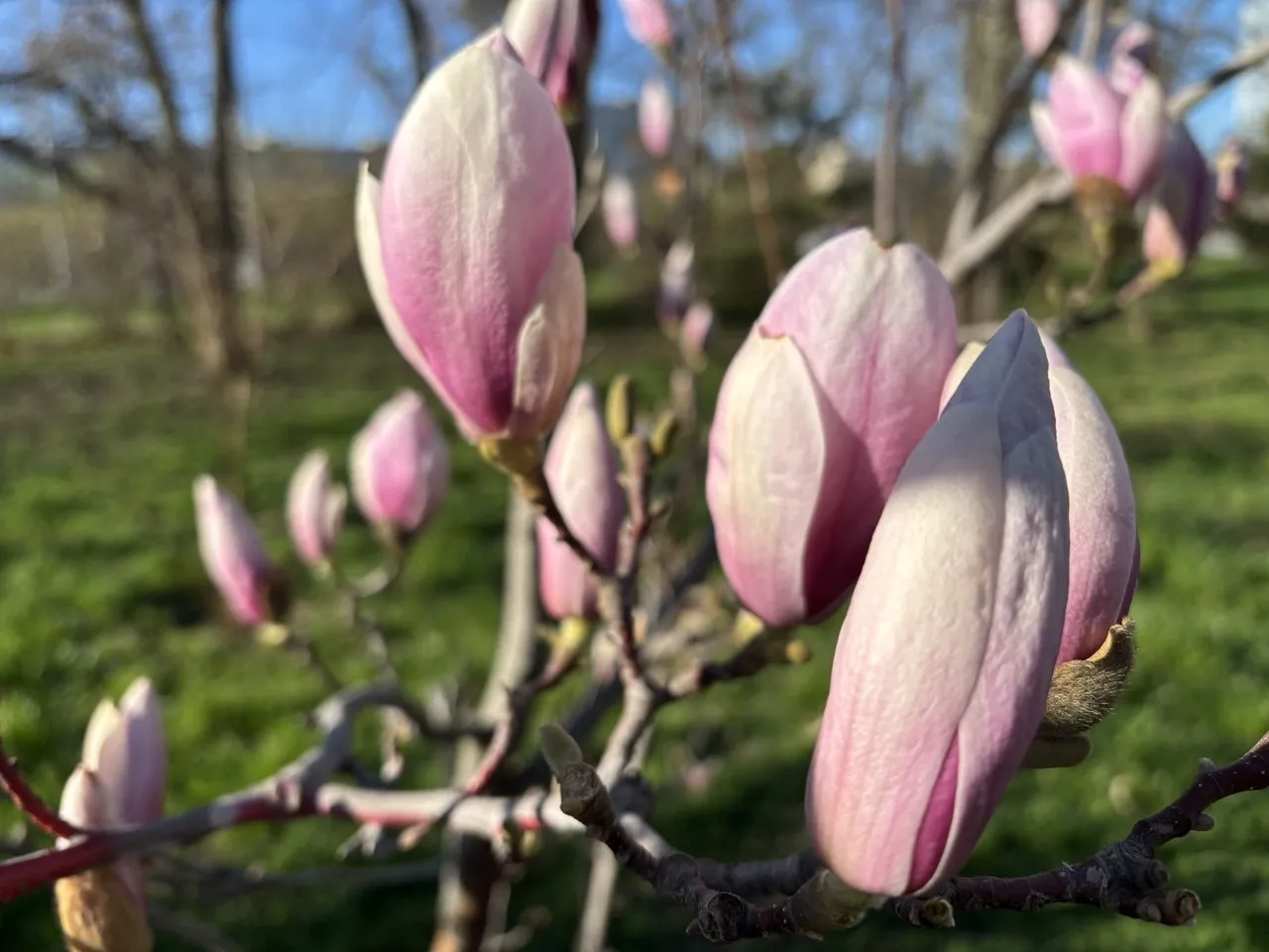 Синоптики спрогнозували потепління в Україні на вихідних