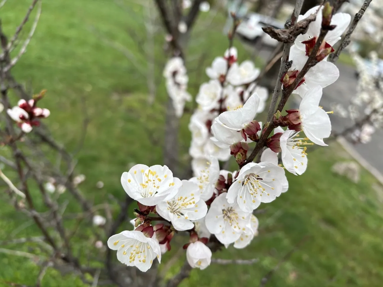 В Україні 10 квітня очікується холод, вітер і мокрий сніг
