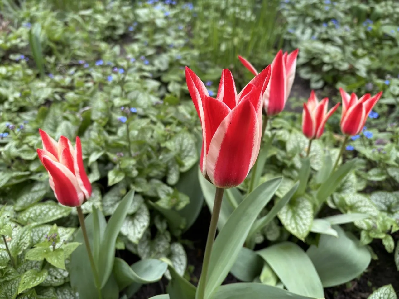 Синоптики прогнозують погіршення погоди 26 квітня