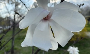 Украинские военные нанесли удар по артиллерии РФ на её территории