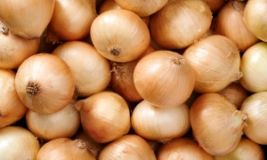 З’явились деталі викрадення мера Херсона російськими окупантами