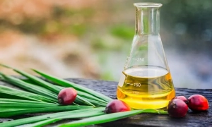 Наслідки вторгнення: АПЛ припинила трансляції в РФ