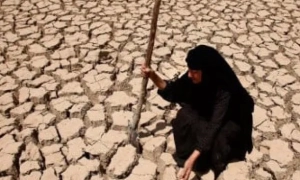 Президент Фінляндії вперше візьме участь у саміті G20