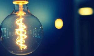 Антикорупційний суд арештував майно скандальної чиновниці Іваніни та її родини (рішення суду)