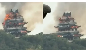 Фото: олівець, що належав гітлеру, пустять з молотка