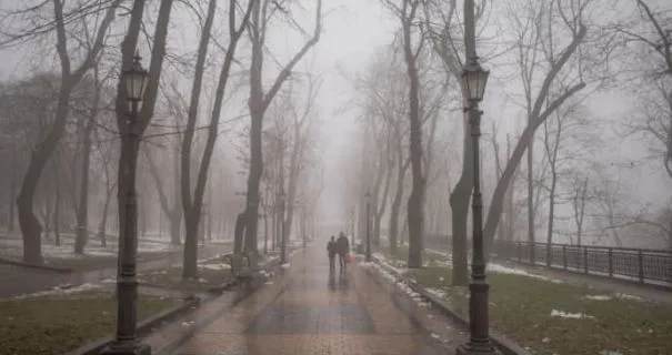 В Україні залишиться туман, але без опадів, — прогноз погоди на 21 грудня