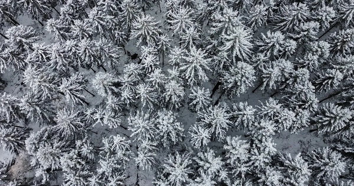 18 січня в Україні залишатиметься холод і ожеледиця