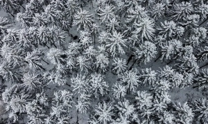 У Кривому Розі рф вдарила ракетою по Пенсійному фонду, є постраждалі