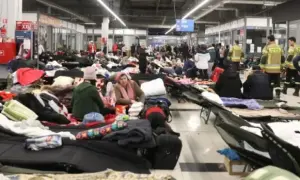 Зеленський підписав закон про підтримку кінематографії