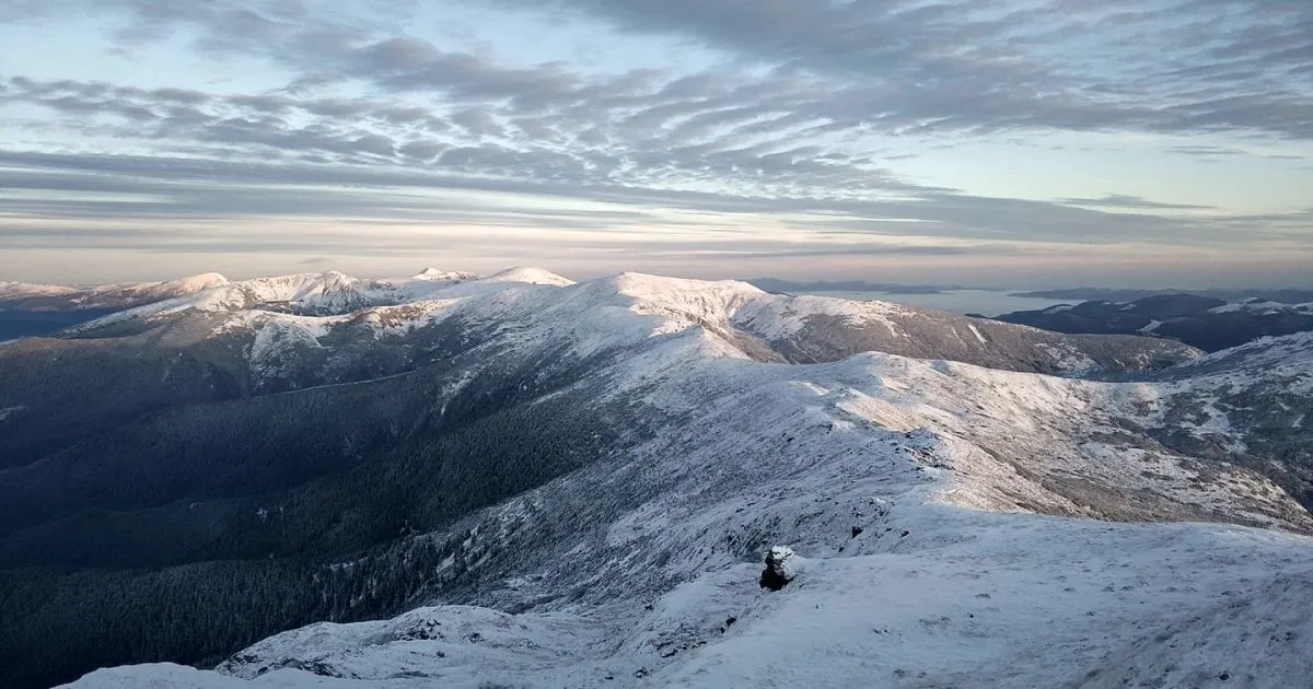 На Прикарпатті викрили екологічні махінації на 8 мільйонів