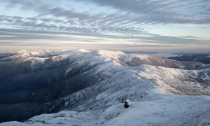 Карний розшук Нацполіції підбив підсумки роботи за 2025 рік