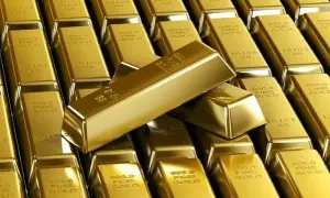 У Берліні затриманий роботодавець за жорстоке вбивство українки