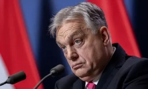 На реставрацію Нотр-Дама зібрано третину мільярда євро: хто жертвує і збирає гроші