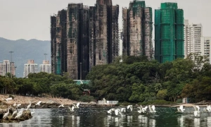 Інвестори масово вкладають кошти в європейські акції, зменшуючи залежність від США, — FT