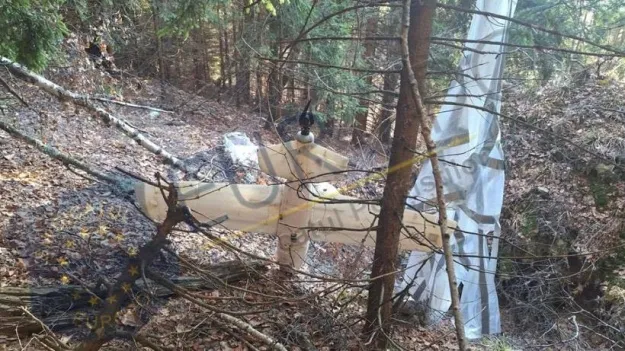 У Румунії під час полювання мисливець виявив невідомий дрон великих розмірів