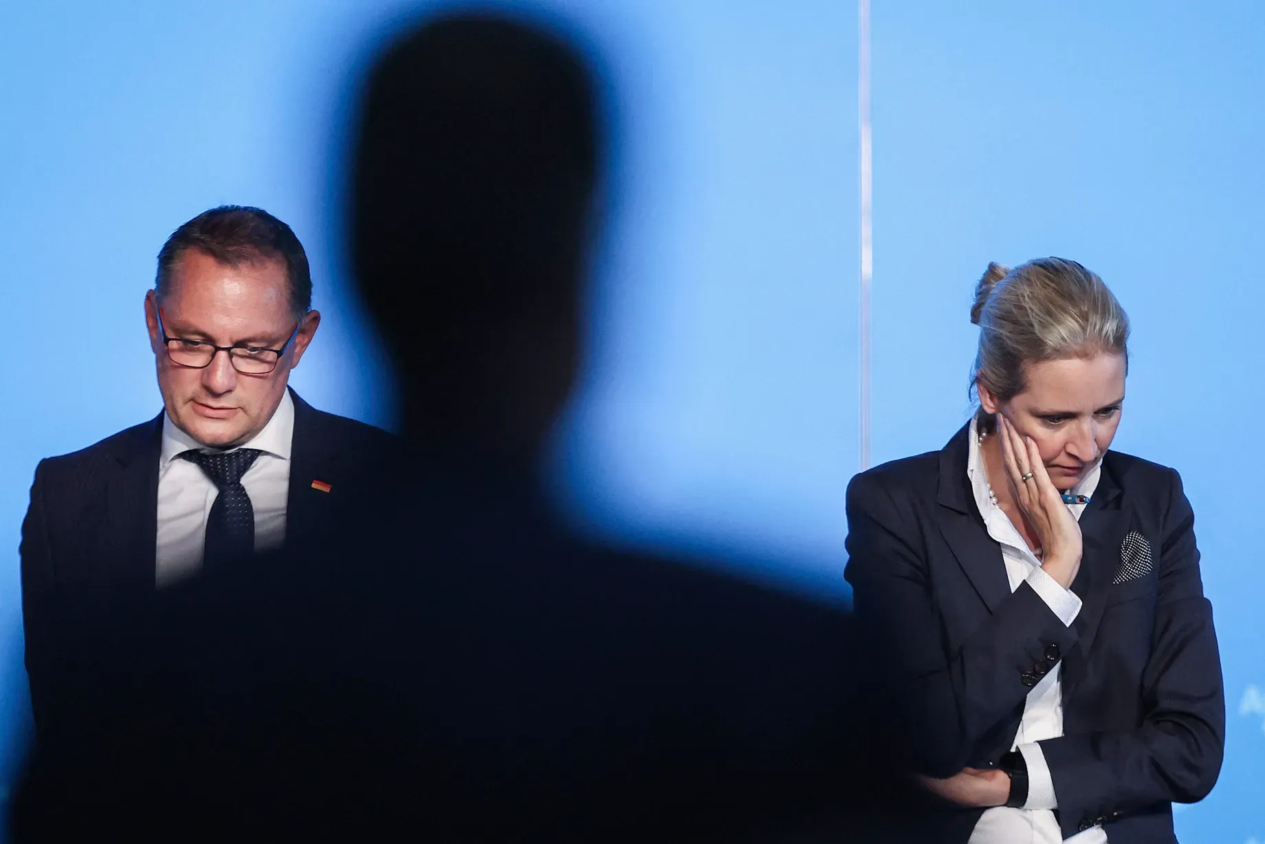 700 тисяч євро ультраправай партії від угорського спадкоємця