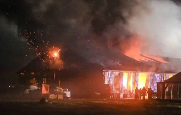 У Нідерландах у пожежі на фермі загинули близько тисячі кіз