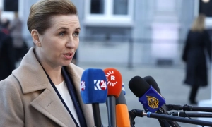 У Румунії знищать понад 220 тисяч індичок через спалах пташиного грипу