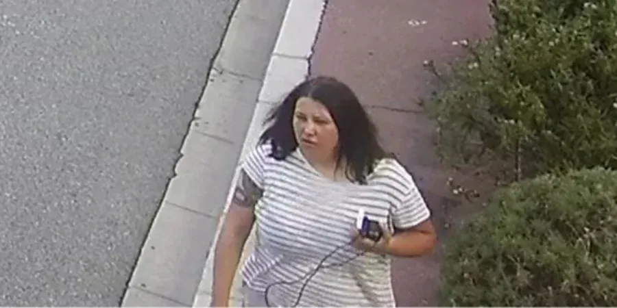 Suspects in the Berezovskaya murder case revealed new details of the case