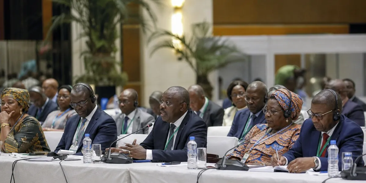 Africa's climate roadmap to COP33 presented in Ghana — MyJoyOnline