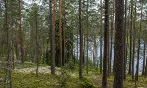 У Великій Британії сьогодні розпочинається саміт G7