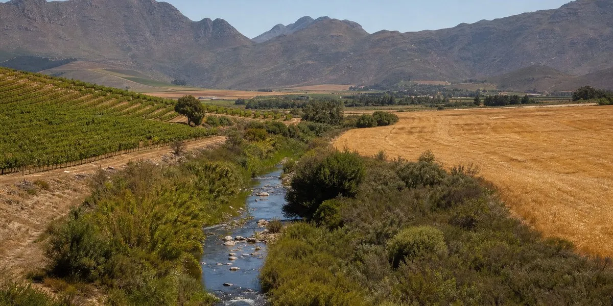 Agrochemical residues found in rivers of South Africa’s Western Cape province