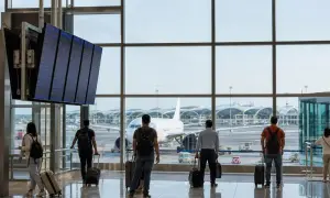 Китай запретил употребление собак в пищу