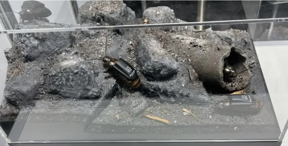 У Німеччині показали біоелектронних комах для військових цілей